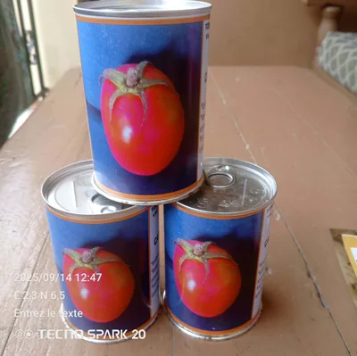 Tomate AVTO 1955-15