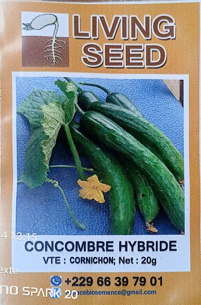 Cornichon