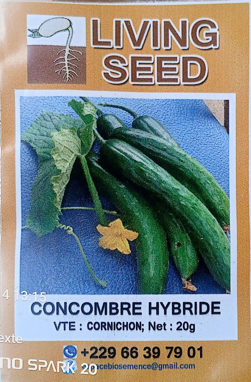 Cornichon