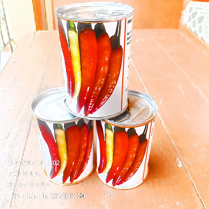 Piment long AVPP 9905