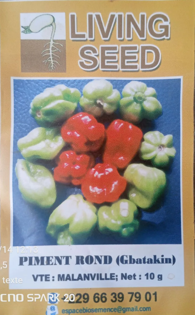 Piment rond Malanville